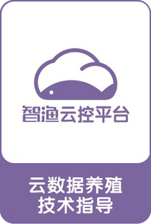 &#76;&#69;&#84;&#79;&#85;&#46;&#67;&#79;&#77;&#45;&#20048;&#25237;&#65288;&#20013;&#22269;&#65289;